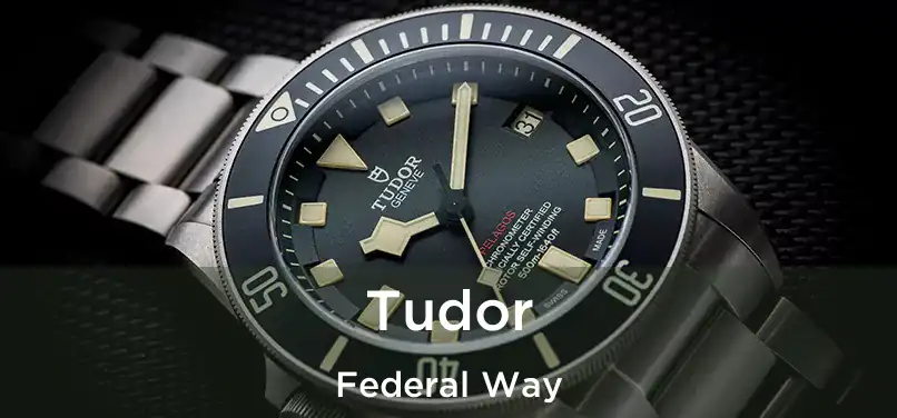 Tudor Federal Way